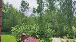 Праздничные дни. Встреча с родными. Быстрый и вкусный ягодный пирог. О чем я молчала?