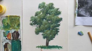 Как рисовать дерево гуашью / Уроки рисования для начинающих