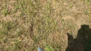 ПРОТИВОРОЕВЫЕ РАБОТЫ НА ПАСЕКЕ