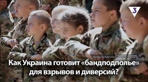 Как Украина готовит «бандподполье» для взрывов и диверсий? / «Итоги с Малькевичем» на «ТВ-3»