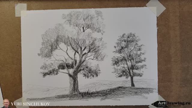 Зарисовки деревьев карандашом / Уроки рисования смотреть онлайн