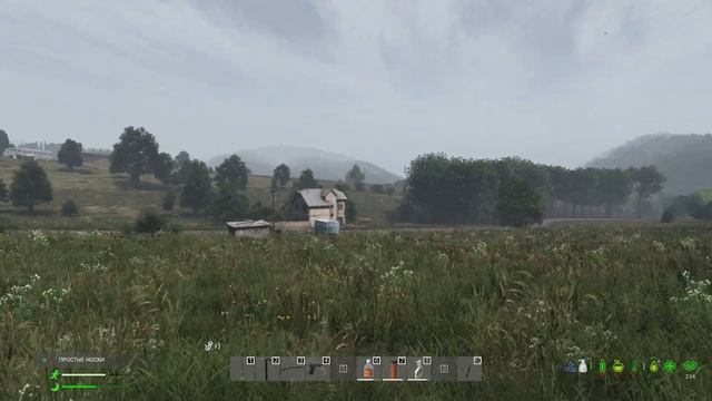 DAYZ | ПЕРВАК PVE | ЛЕТНИЙ СЕЗОН 5 СЕРИЯ | АТМОСФЕРА ВЫЖИВАН? смотреть онлайн