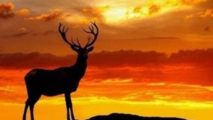 П𝒆𝒑𝒆г𝒆𝟑𝒂г𝒑𝒚𝟑𝒌𝒂