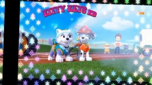 коллаб с zuma dog ( @zuma535378) Эверест и маршал| гонщик и Скай -