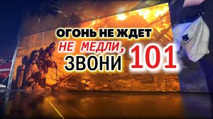 Итоги недели со 2 по 8 июня 2025 года