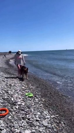 🌴😍🎉🐕☀️🌊