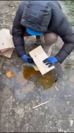 А сегодня твой день ?🤣