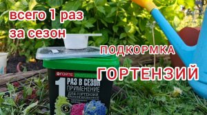 Гортензия.Подкормка с серой