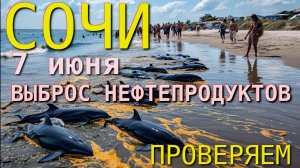 Сочи мазут, море сочи сейчас, можно ли купаться в Сочи 2025, где разлился мазут, Сочи сегодня