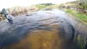 Улов РАКОВ!!!  Как ловить раков руками.