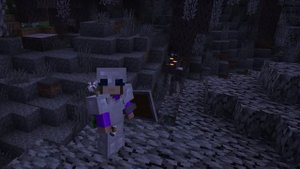 Я НАШЛА НОВЫЙ БИОМ - БЛЕДНЫЙ ЛЕС МАЙНКРАФТ