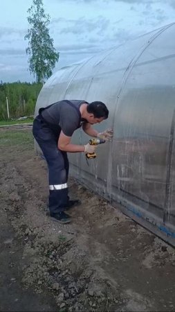 Новости Ежа