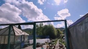 Дела огородные. Новые приобретения через Вайлдберриз. Муз.видео с моим стихом.