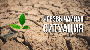 Чрезвычайная ситуация. «Вечерний Ейск» от 2025.06.09