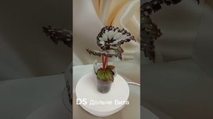 lv_0_20250609141634.mp4