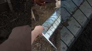 Кормушка для птиц из металла