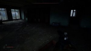 Автоматический пистолет Стечкина (АПБС) в Сталкер 2