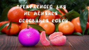 мандорин