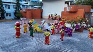 Шествие дракона 2025