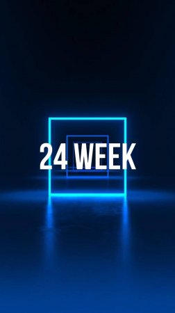 24 week 25