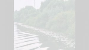 8 июня- вечерняя прогулка на реку