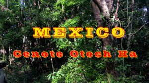 Мексика, сенот Ottoch Ha