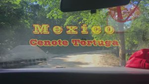 Мексика, сенот Tortuga