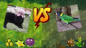 ФИНАЛ!!! курица питух вот моя еда VS колючее трио и тристрел