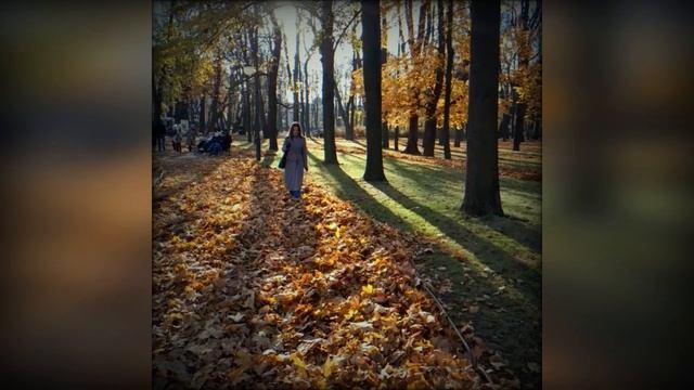 ЧАЙ ВТРОЁМ. ХРОНИКА 2024 смотреть онлайн