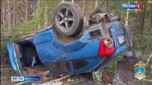 Два жителя Костромы погибли при столкновении автомобиля с лосем