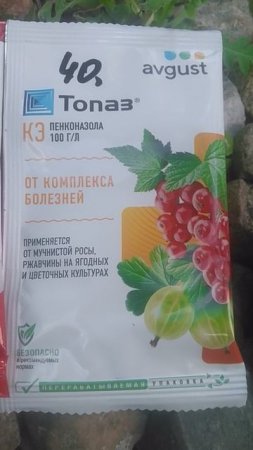 Уход за растениями лечение протравка  борьба с насекомыми