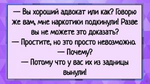 105 кг. ЗОЛОТА - анекдоты #23 😂😂😂