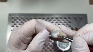 Наращивание на верхние формы БЕЗ СТУПЕНЕК 💅/ БЫСТРЫЙ