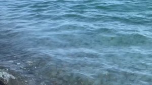 09.06.2025 Черное море Медузы