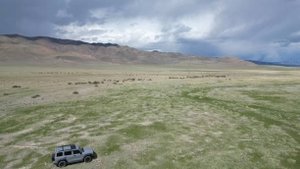 Обзор участка. Алтай.  Кош-Агачский район (38,4 га)