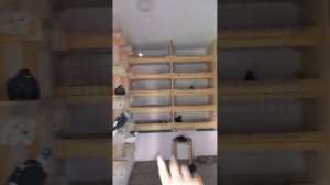 1000002096.m