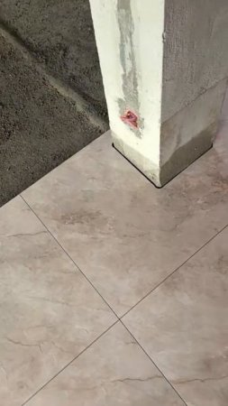 Я всегда думал, что сначала было яйцо, а потом уже курица, но появилось доказательство обратного 😁