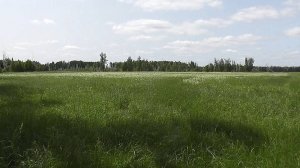 Коп монет и не удавшаяся рыбалка.