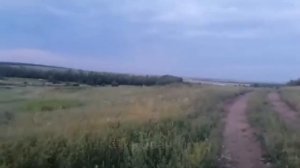 КЕНГУРУ В СТЕПИ