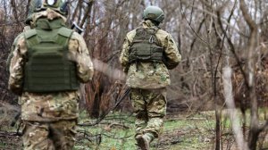 Сенатор Клишас: началась активная фаза денацификации Днепропетровской области