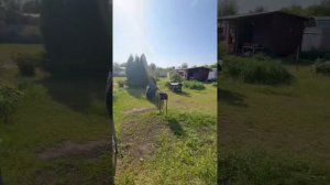 Дача вашей мечты от Саныча