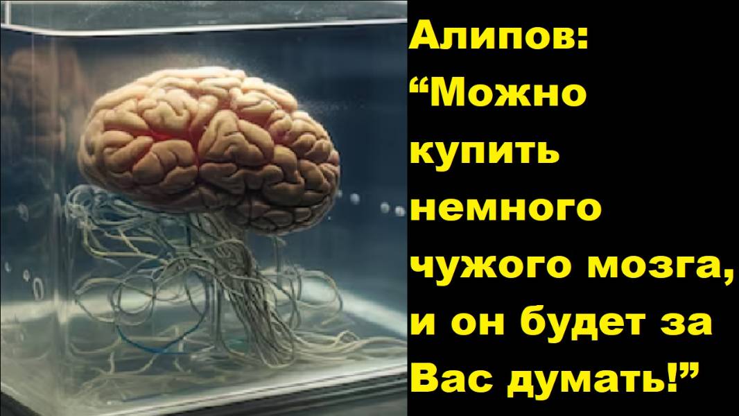 Алипов: “Можно купить немного чужого мозга, и он будет за Вас думать!”