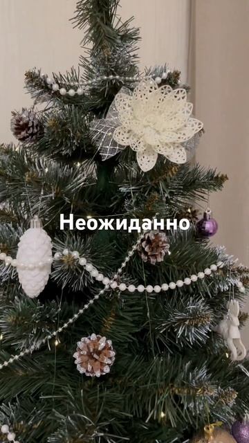 #Яренск …неожиданно…Архангельская область…05.01.2025