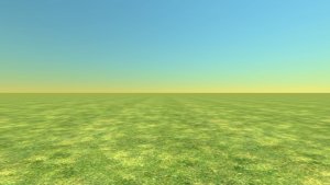 Кадры С Сходки