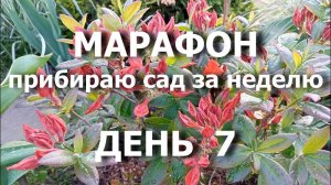 Марафон "Прибираю сад за неделю" день 7