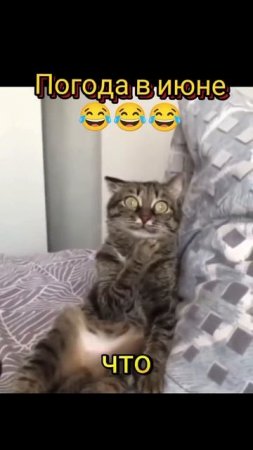 Жизненно 😁