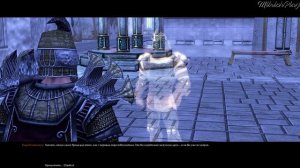 Ледяные пустоши Шалибара часть 1 ► SpellForce 2 - Demons of the Past #