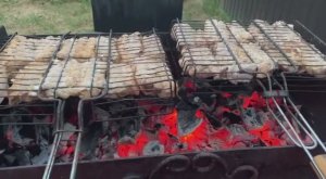 Навожу порядки. Огородные дела. Семена огурцов. Гроза и шашлык.