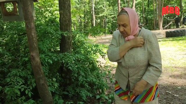 Сохранить старую яблоню! Обращение к администрации подмосковного г.о. Люберцы! смотреть онлайн