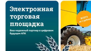 РЫНОК ЗЕРНА - современная аукционная-площадка для аграрного бизнеса